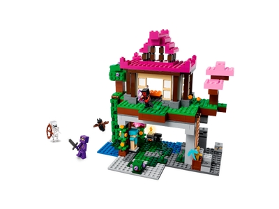 LEGO De Trainingsplaats (21183)
