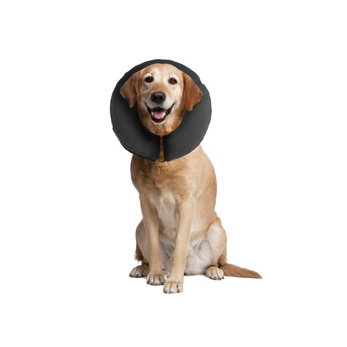 ZenPet Pro Collar