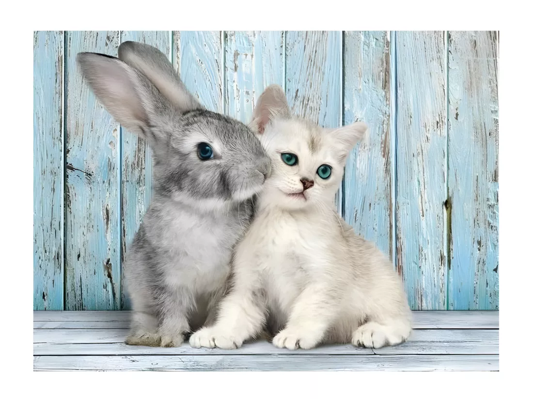 PUZZLE 500 pieces - Chaton et Lapin - 49 X 36 cm