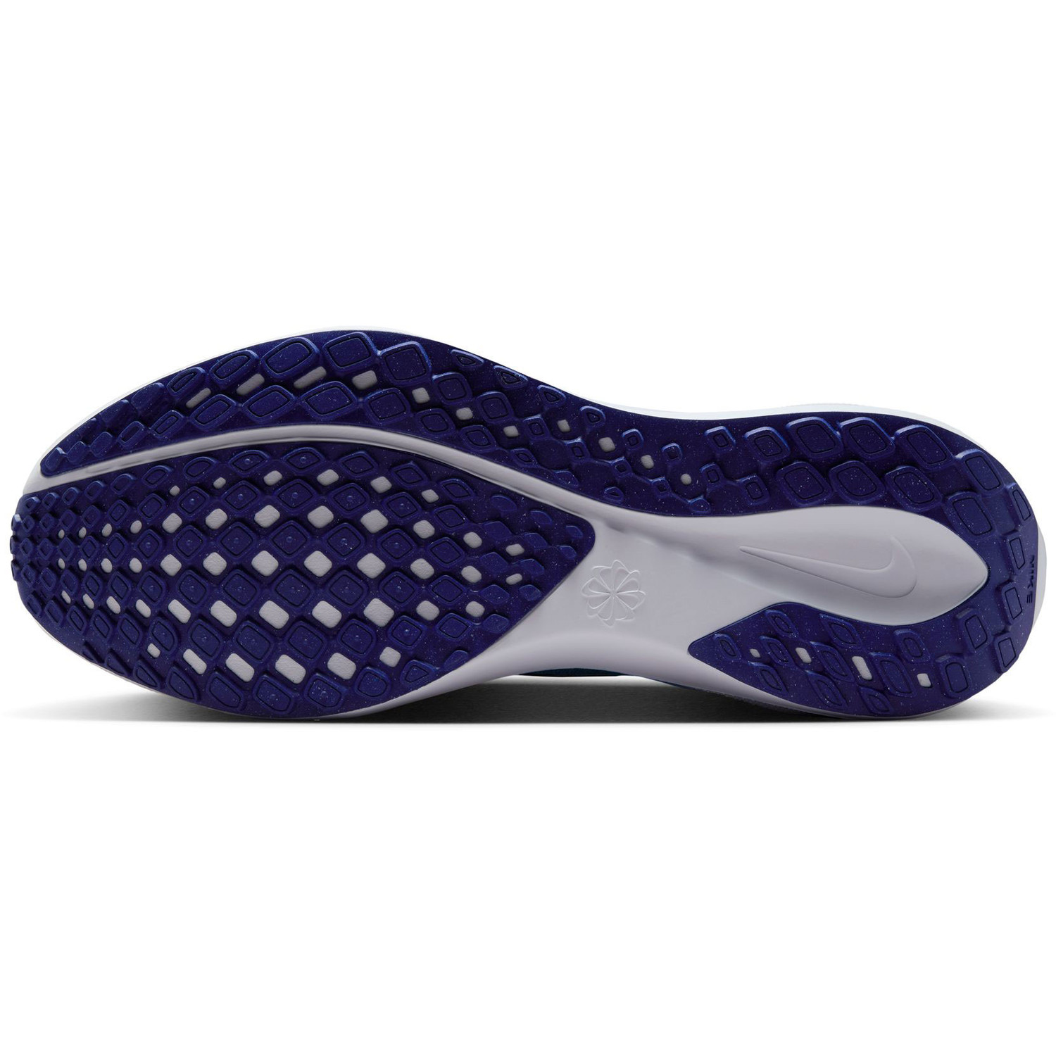 Nike Pegasus 41 Heren