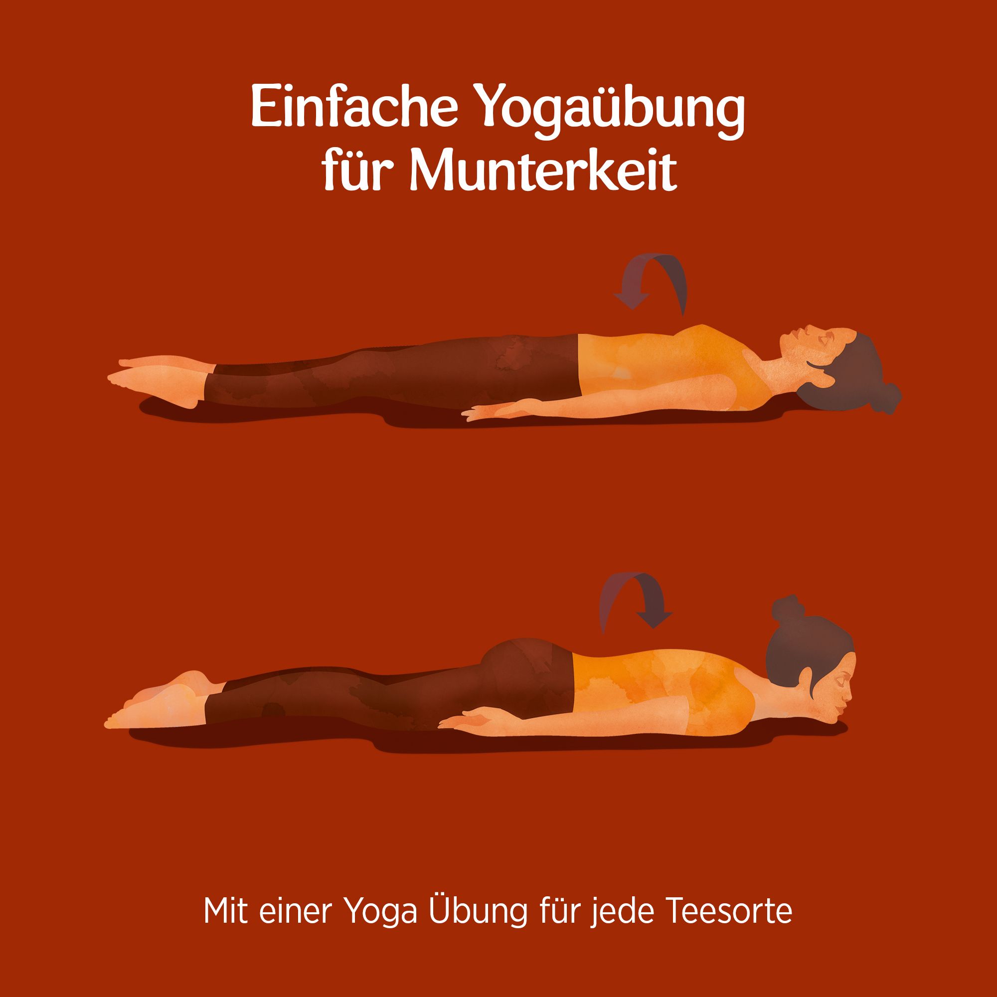 YOGI TEA® Lakritz, Bio Gewürz- und Kräutertee