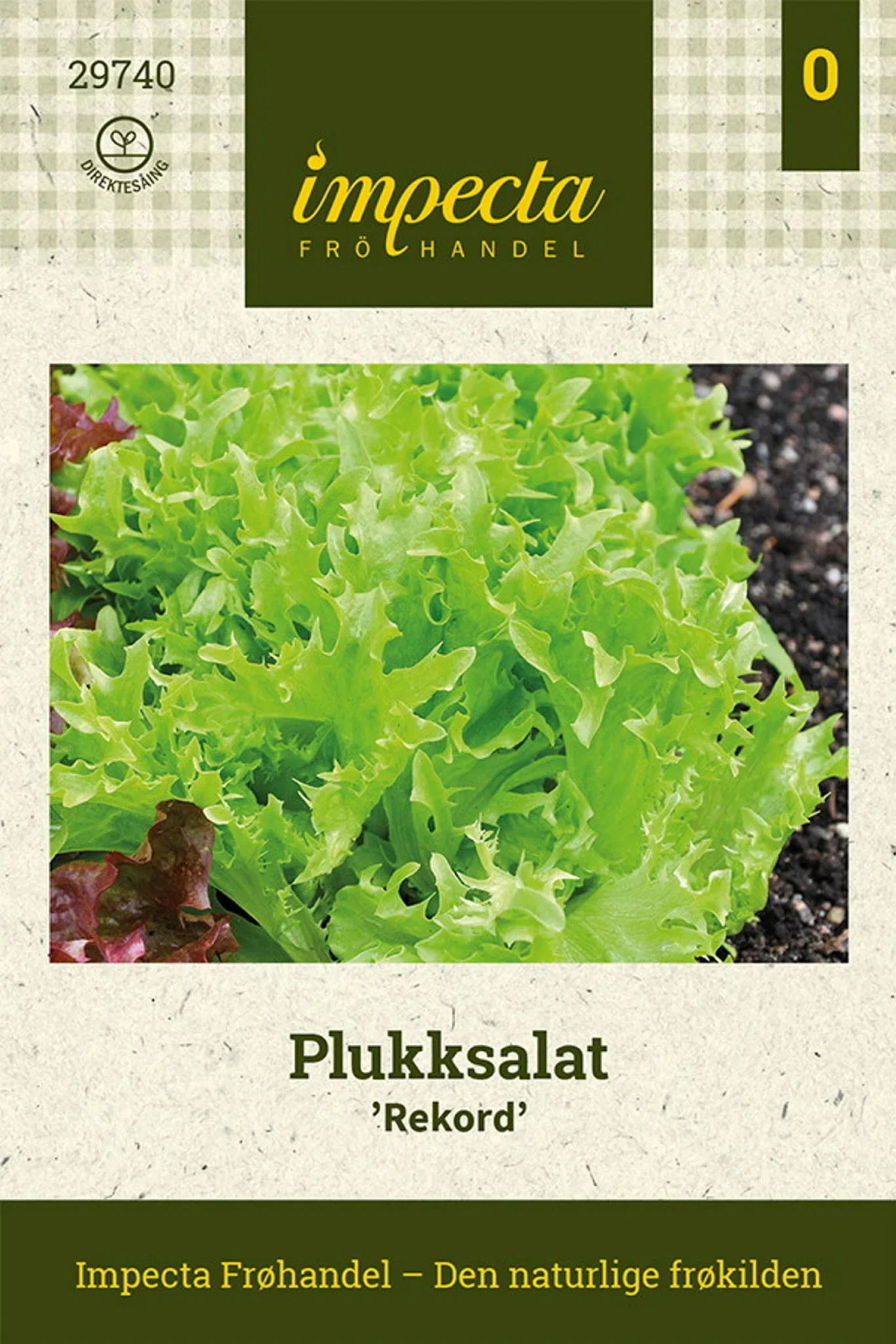 Lactuca sativa 'Rekord' Plukksalat 'Rekord'