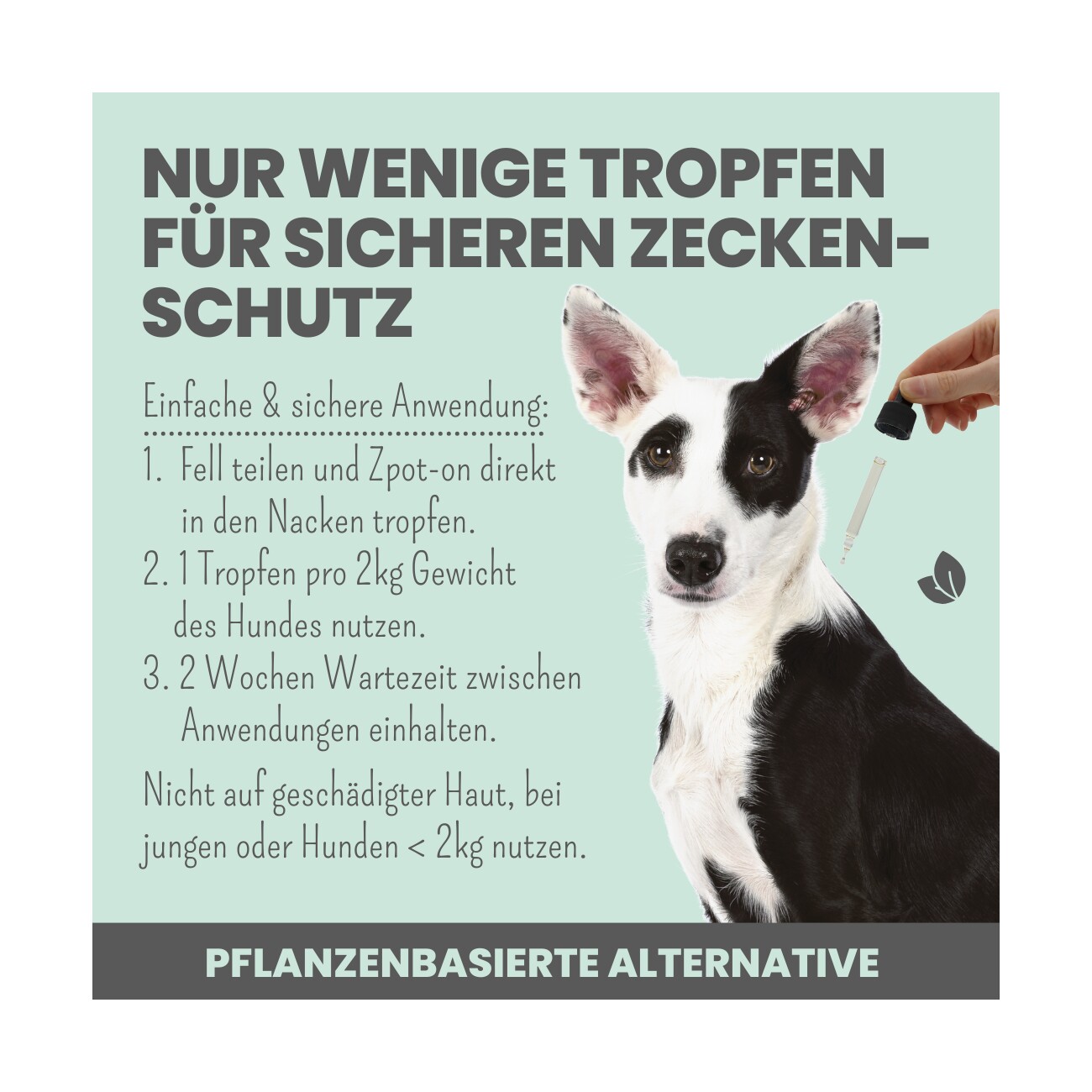 noms+ Zpot-on für Hunde gegen Zecken, Flöhe, Milben & Mücken 50ml