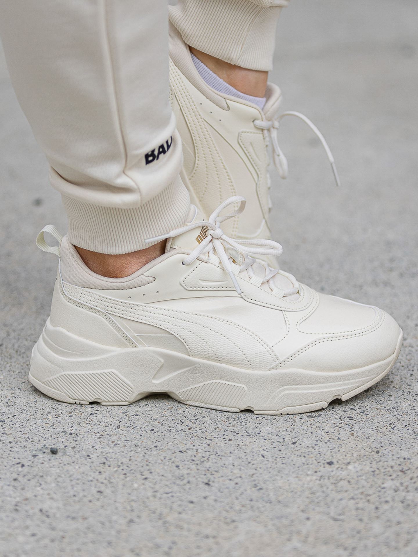 Cassia SL