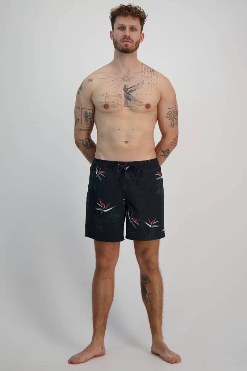 Quiksilver Everyday Mix 17 Inch Herren Badeshort