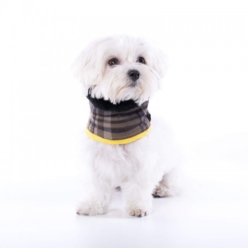 Coleira Uoamy para cães, marrom, xadrez Scott