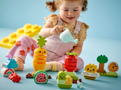 LEGO Biotuintje (10984)