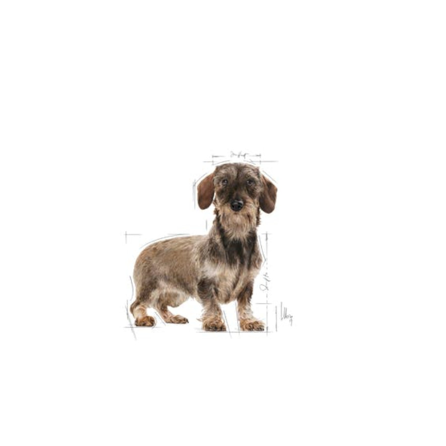 Ração Royal Canin Light Weight Care para cães de porte extra pequeno.