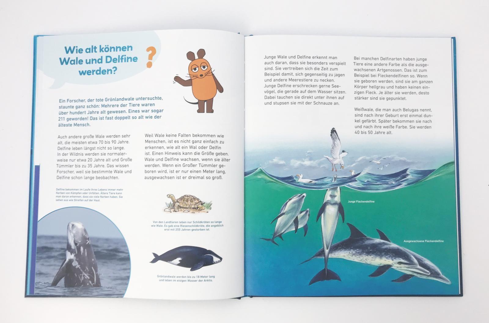 Wale und Delfine / Frag doch mal ... die Maus! Die Sachbuchreihe Bd.12