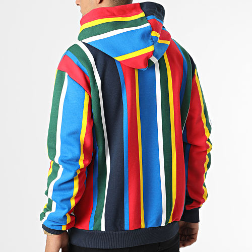 Sweat Capuche A Rayures Small Signature Stripe 6028200 Multicolor