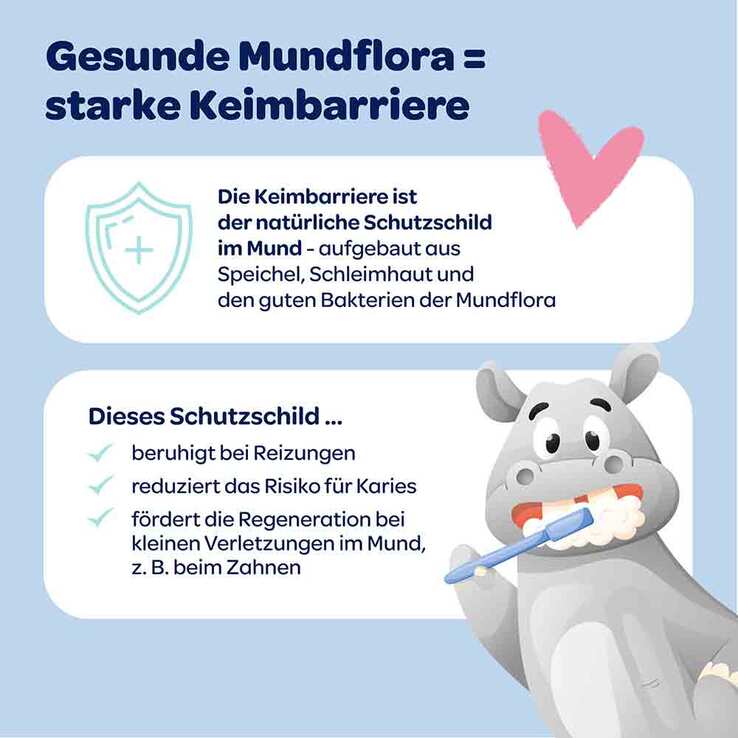Dentinox Zahncreme Mundflora Baby, 30 ml