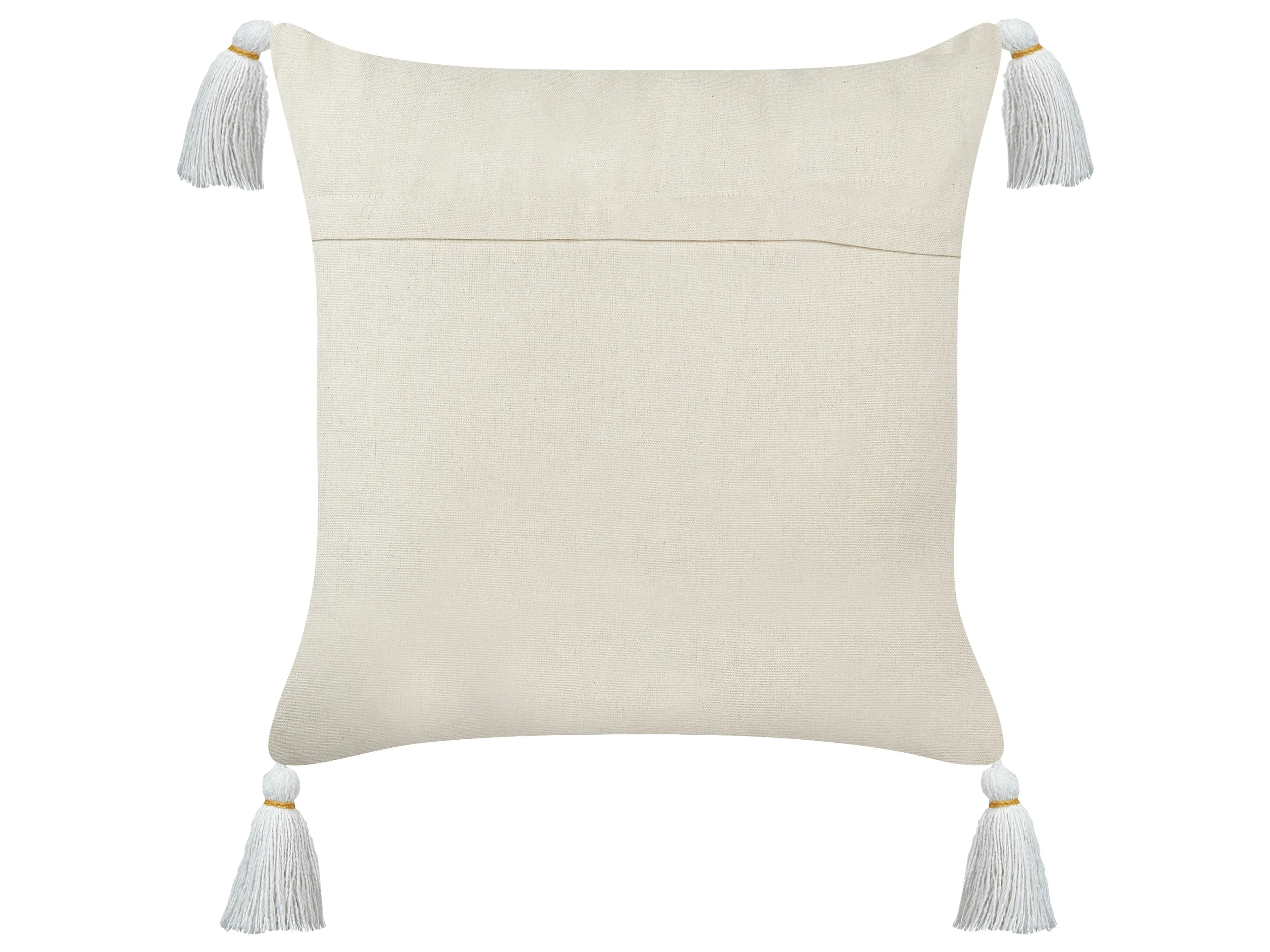 Set van 2 sierkussens AZALIA Katoen 45 x 45 cm Wit bloempatroon