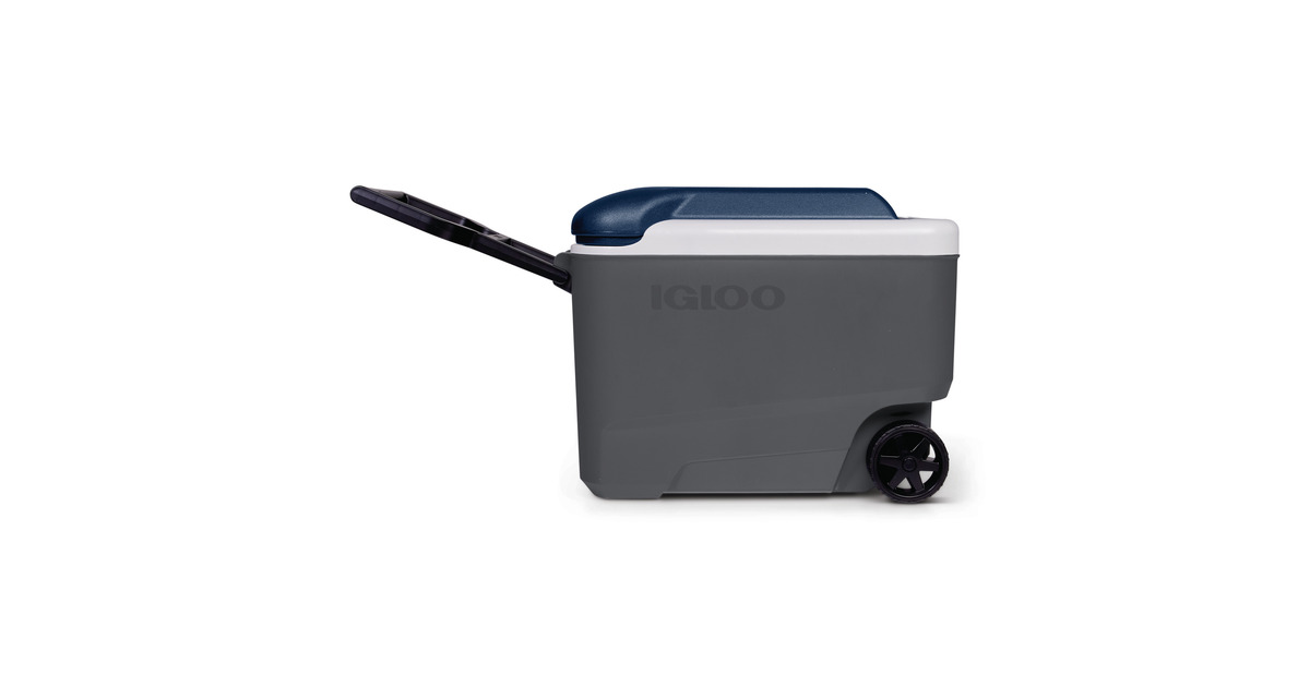 IglooMaxcold 40R, 38 liter koelbox  (Grijs)