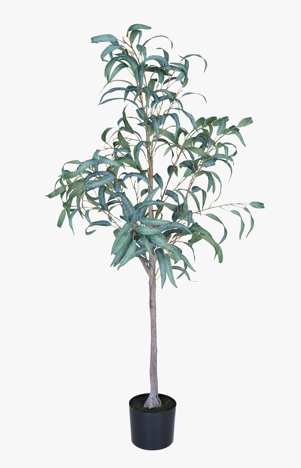 Plante grønn - 55x50x150 cm