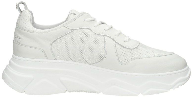 Red Rag Women Low Cut Sneaker wit