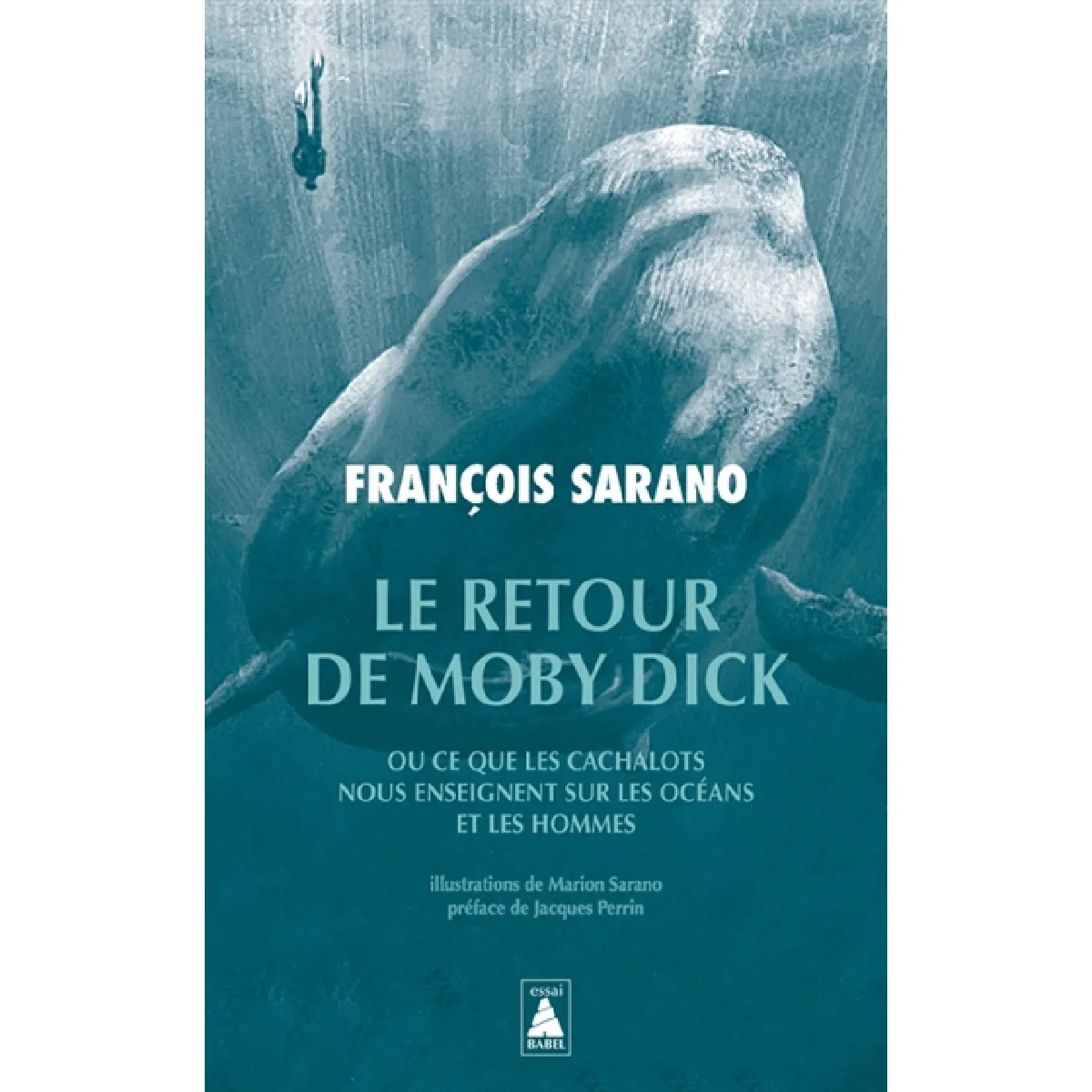 Le retour de Moby Dick ou Ce que les cachalots nous enseignent sur les océans et les hommes