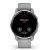 Garmin Venu 2 Plus Hellgrau/Silber 010-02496-10