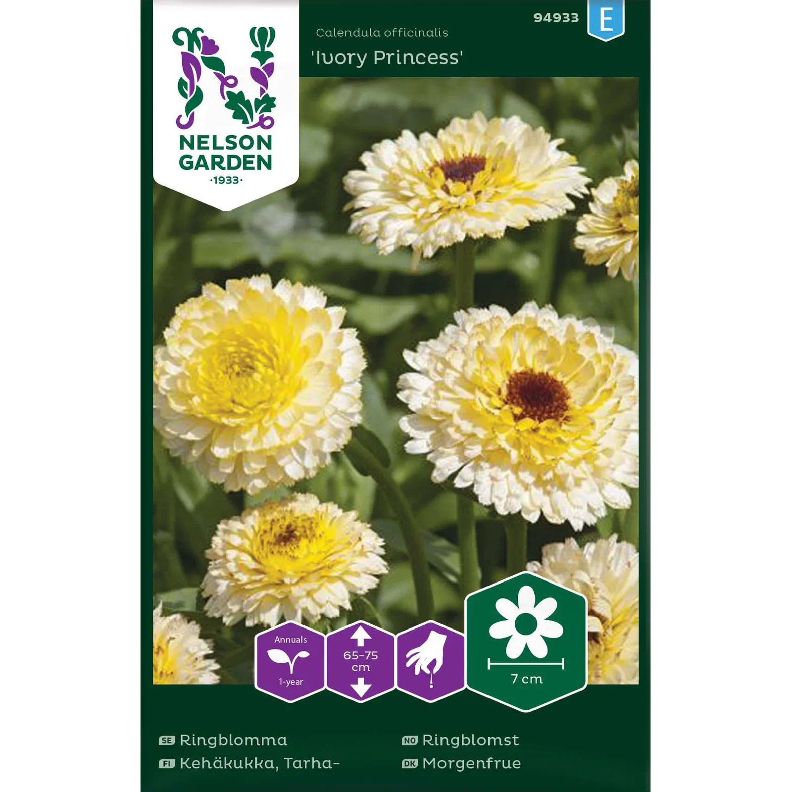 Calendula officinalis 'Ivory Princess' Ringblomst 'Ivory Princess'