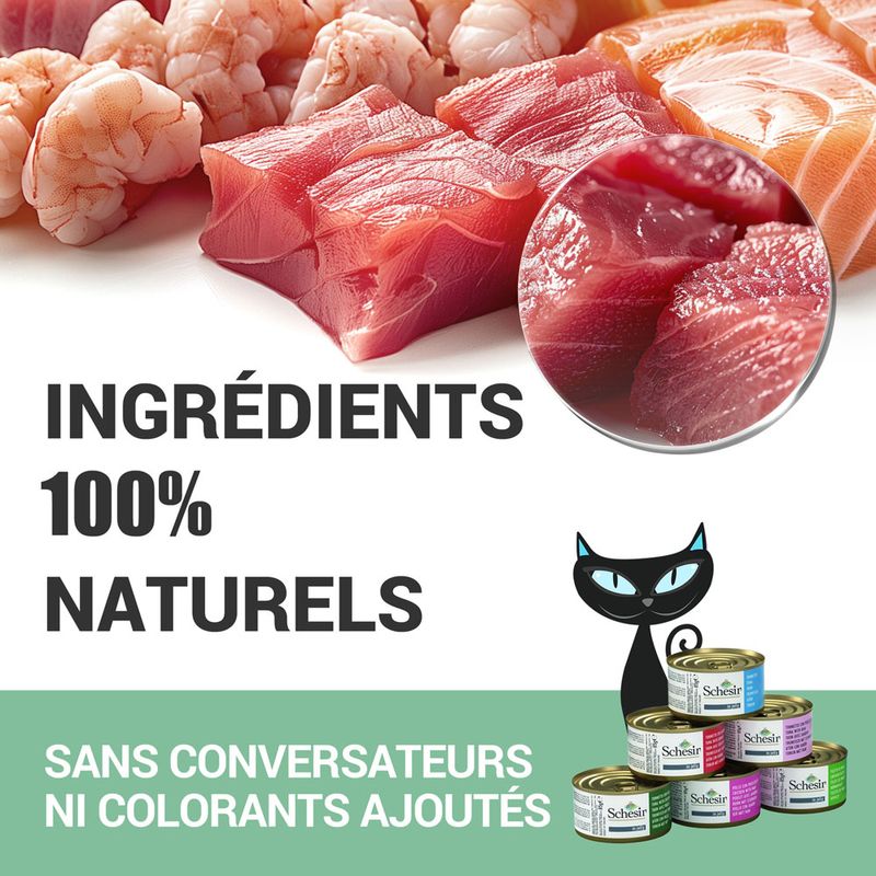 Lot mixte Schesir en gelée 6 x 85 g
