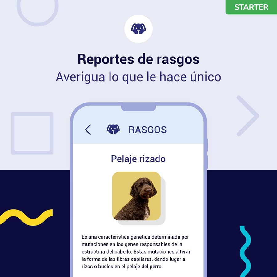 Teste de DNA para cães - Nível Inicial