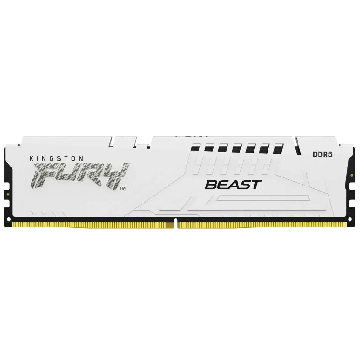 Kingston KF556C36BWEK2-64