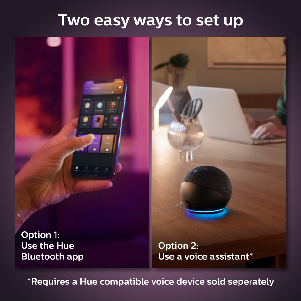 Philips Hue - Color A60 E27 1100 Lumen - 2-Pak White & Color Ambiance