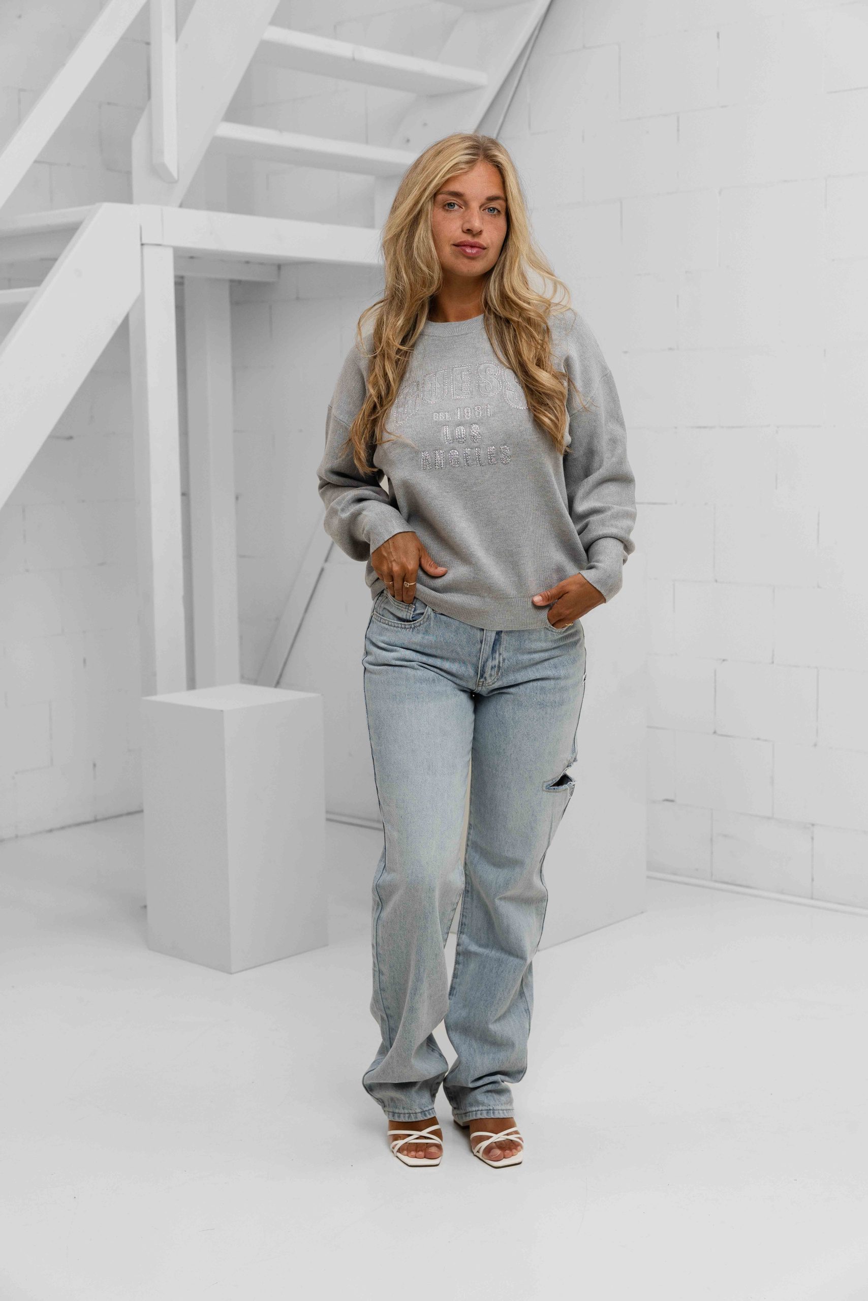 Guess Leighton Logo Sweater Dames Grijs