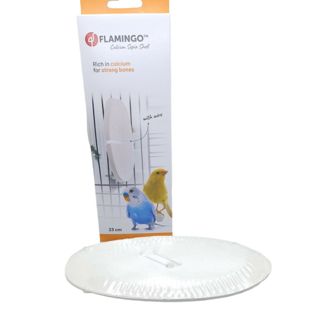 Un os de seiche blanc 23 cm avec support pour oiseaux