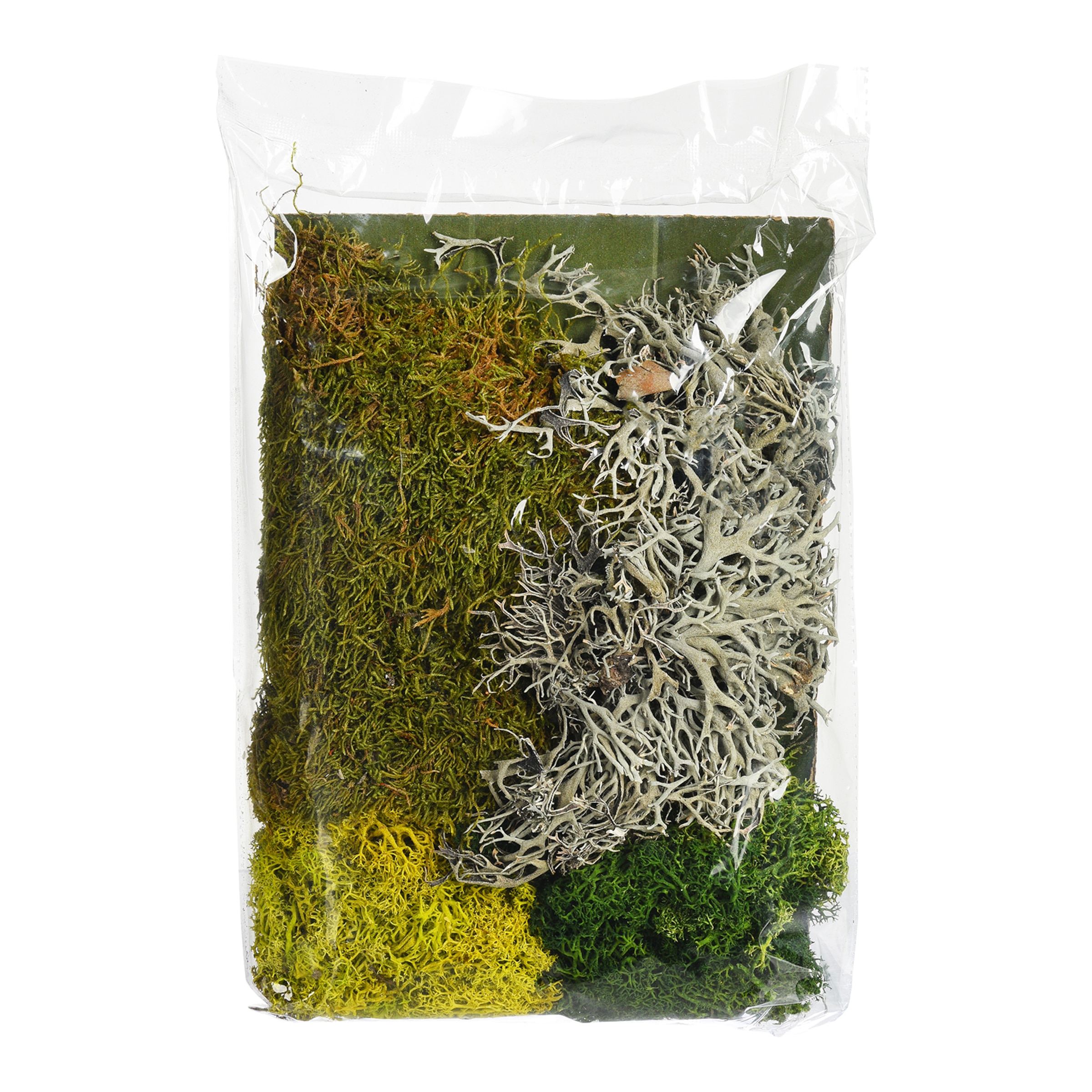 grün, 100 g