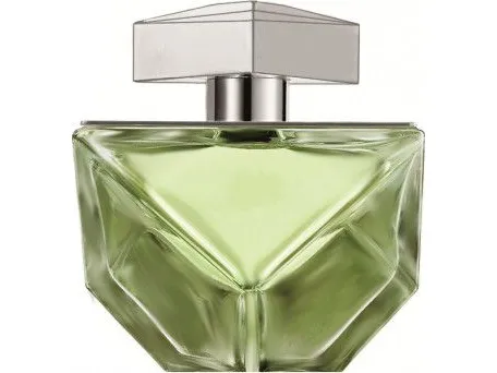 Britney Spears Believe Eau De Parfum 30 ml (woman)