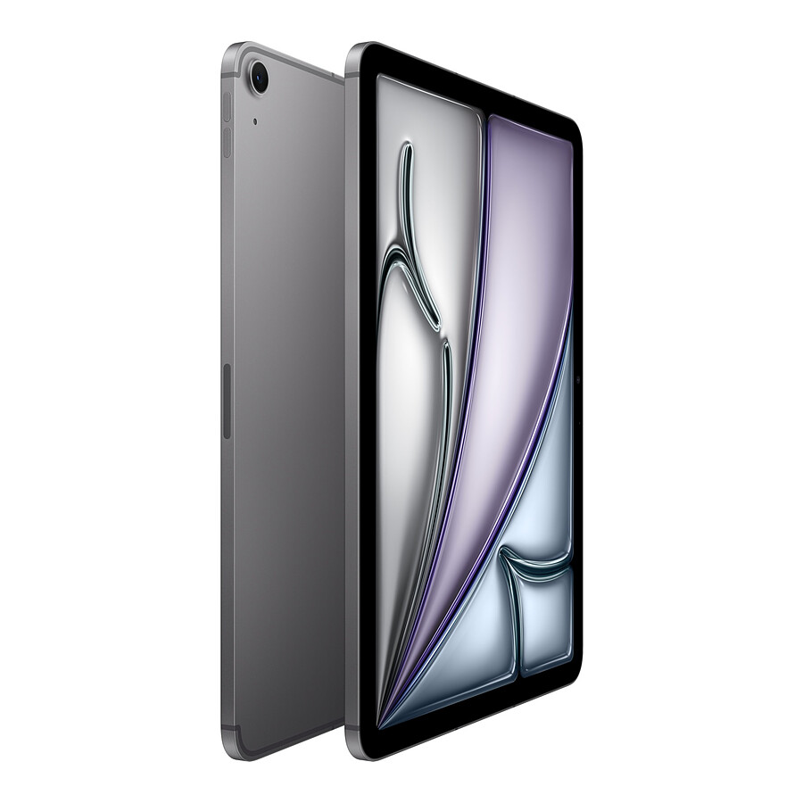 Apple iPad Air M2 2024 11 pouces Wi-Fi + Cellular - 256 Go - Gris sidéral