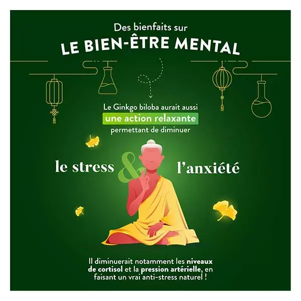 Nutri&Co Ginkgo Biloba Stimulant Cognitif Mémoire & Vision 120 gélules Vegan