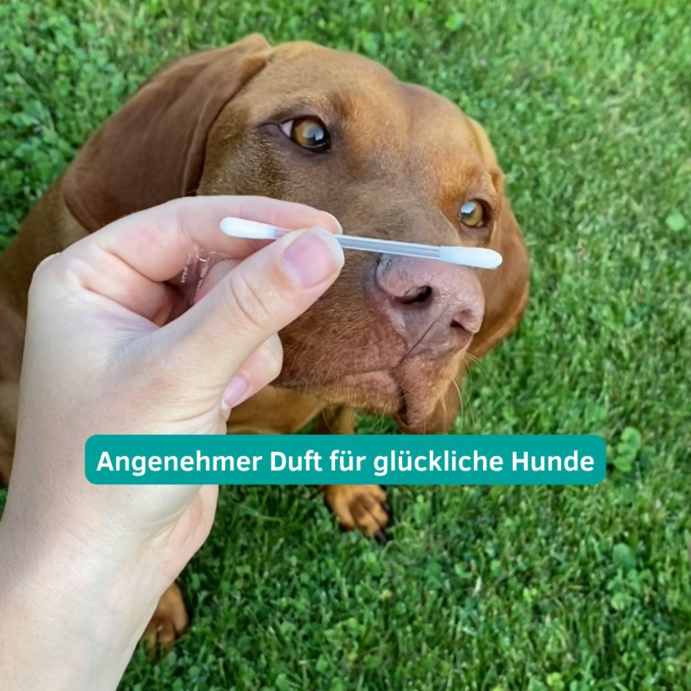 CLICswab Ohren/Augenreiniger für Hunde und Katzen