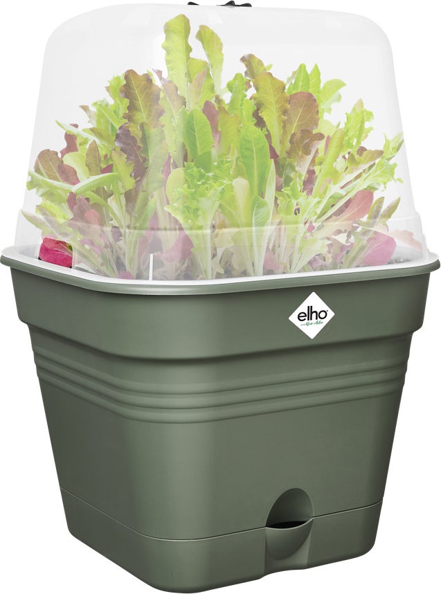 Elho kweekbak Green Basics groen / transparant 19,5 x 19,5 x 16,5 cm