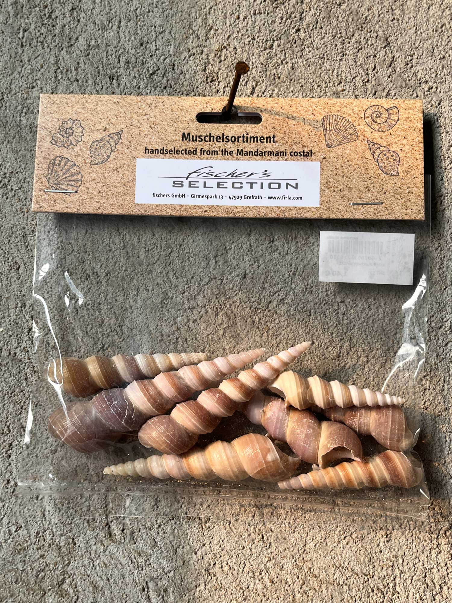 Echte Muscheln sortiert, 50 g von fischer's lagerhaus