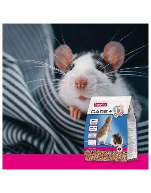 Beaphar Care Plus Rat - Rattenvoer