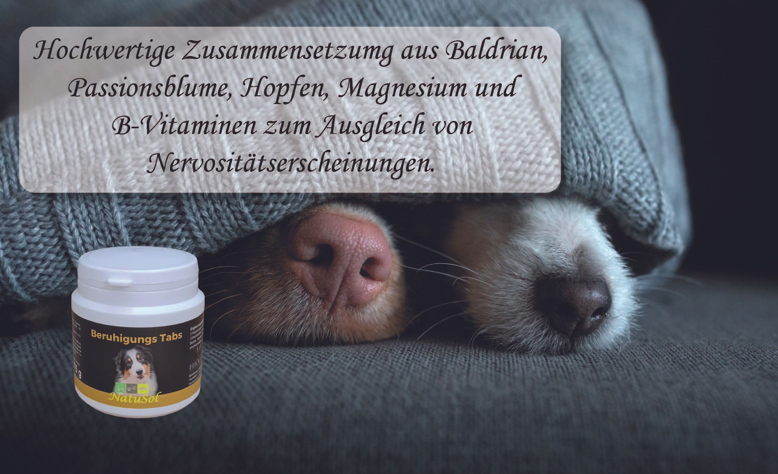 NatuSol Beruhigungs Tabs für Hunde - Entspannend und beruhigend, hochwertige Zusammensetzung