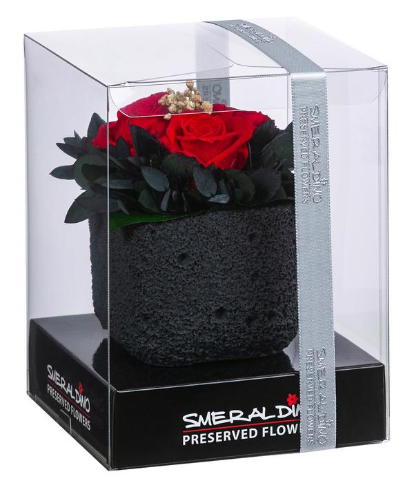 Dehner Keramik-Schale mit Longlife-Rose Izzy,