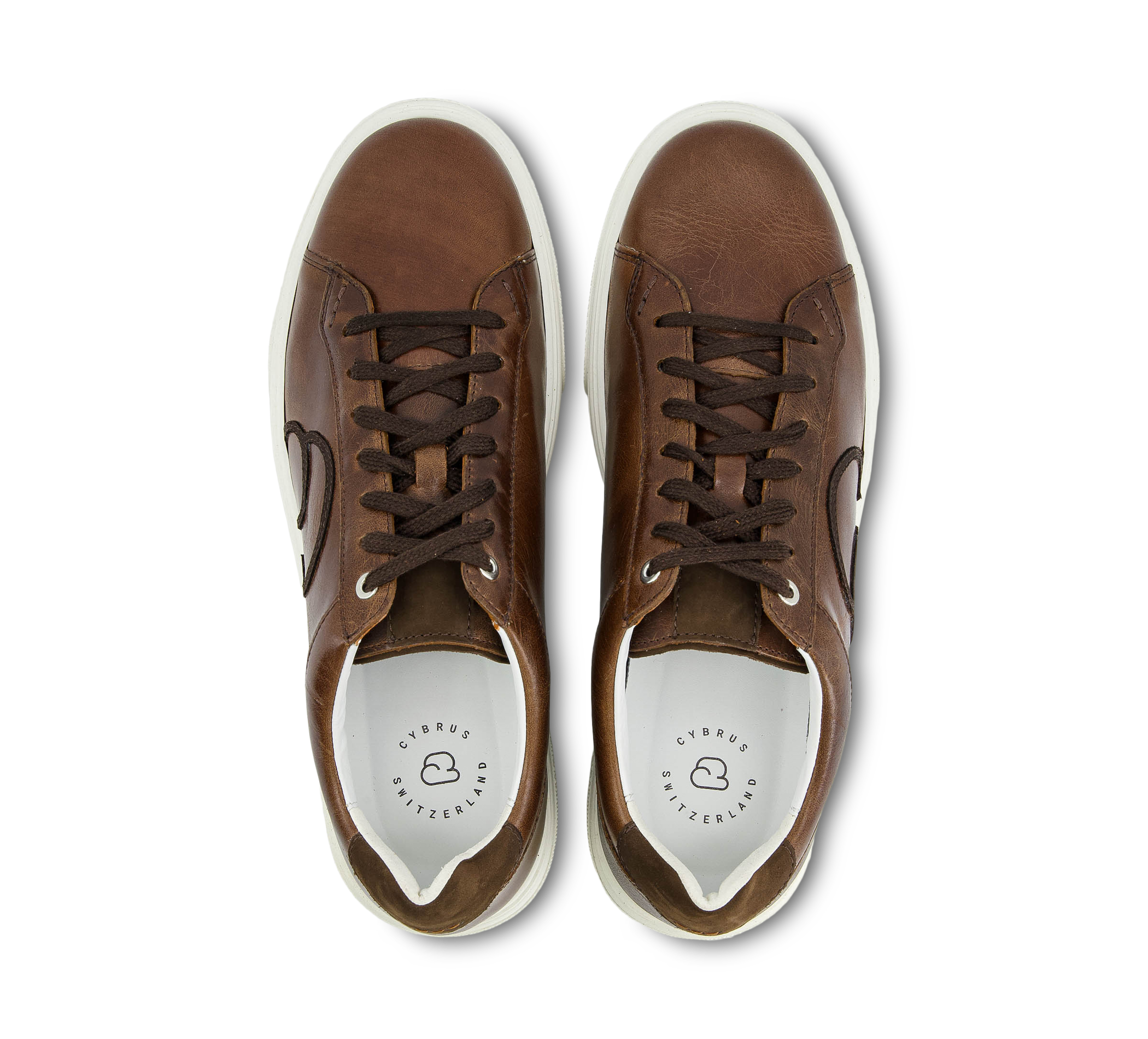 Cybrus 49ER