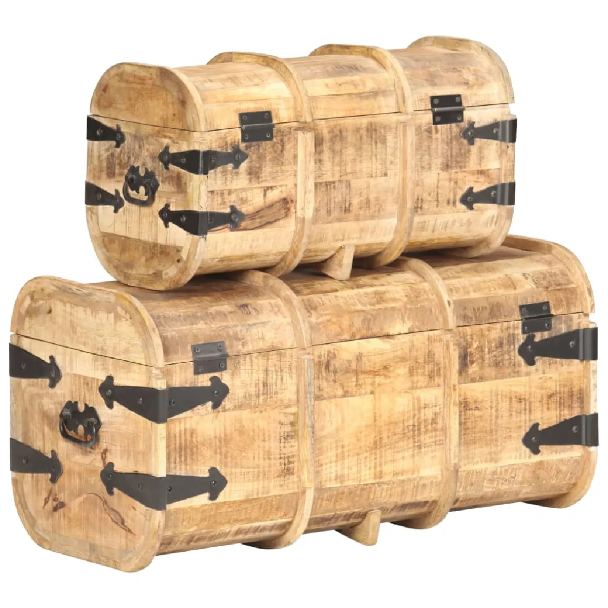 VidaXL Manguier 2 pcs
