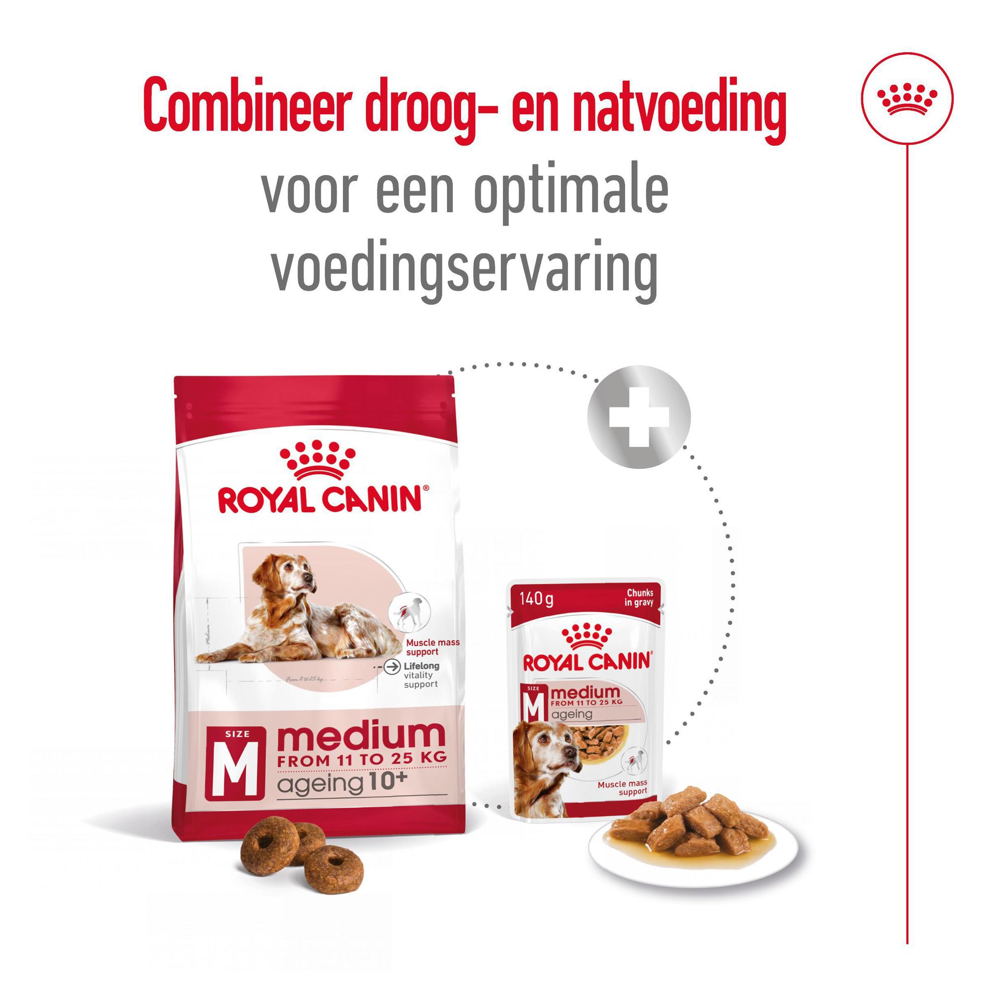 Royal Canin Medium Ageing 10+ - Hondenvoer