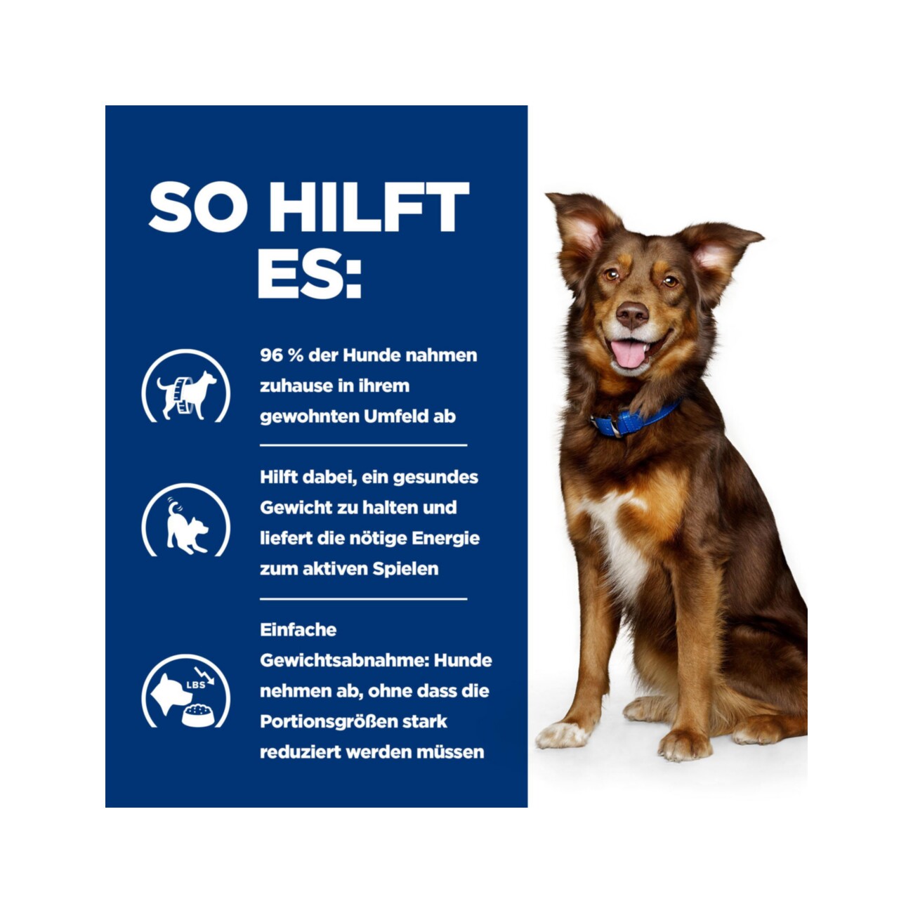 Hill's Prescription Diet Metabolic Nassfutter Hund 12x370 g