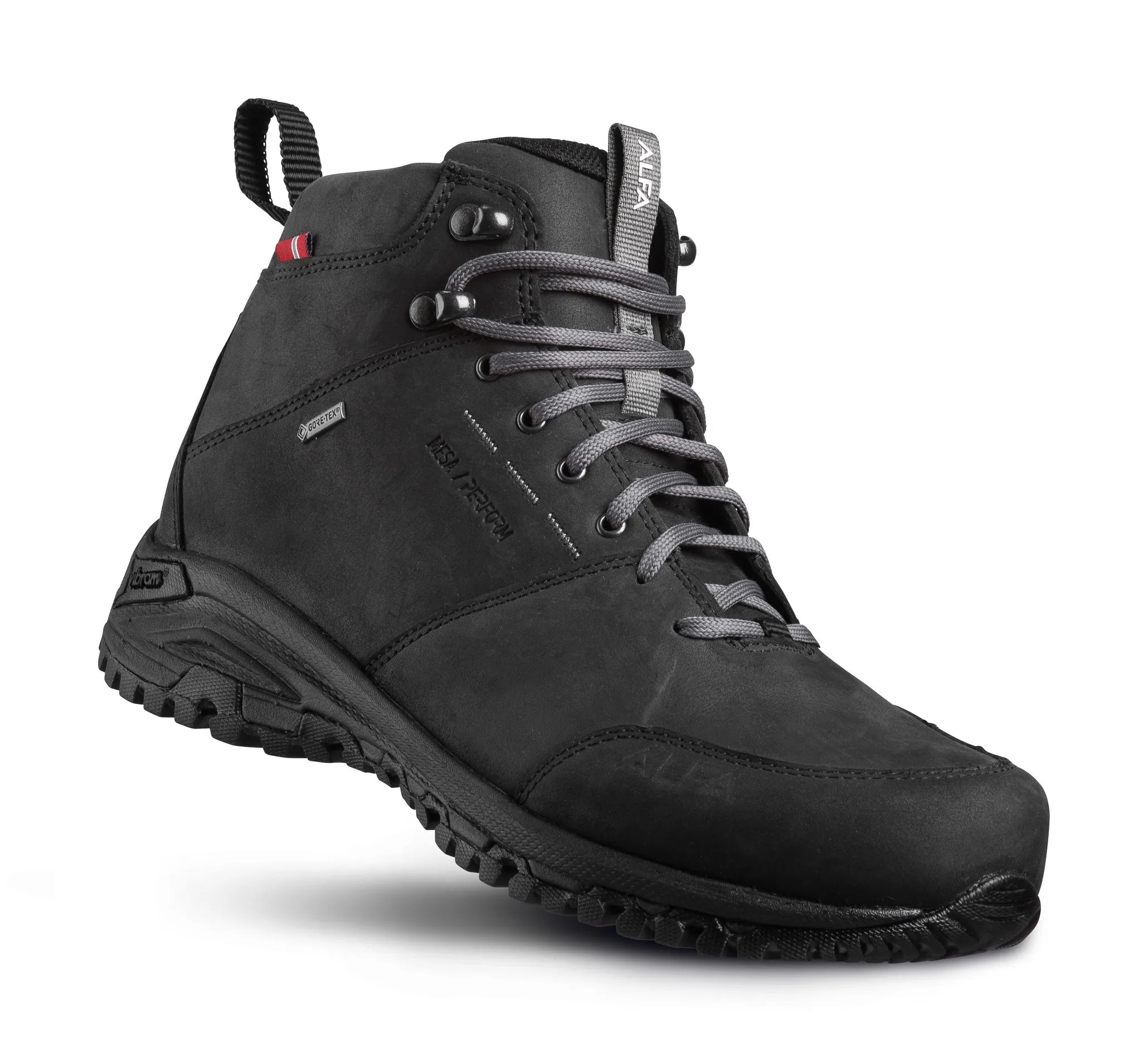 Alfa Men's Mesa Perform Gore-Tex Black