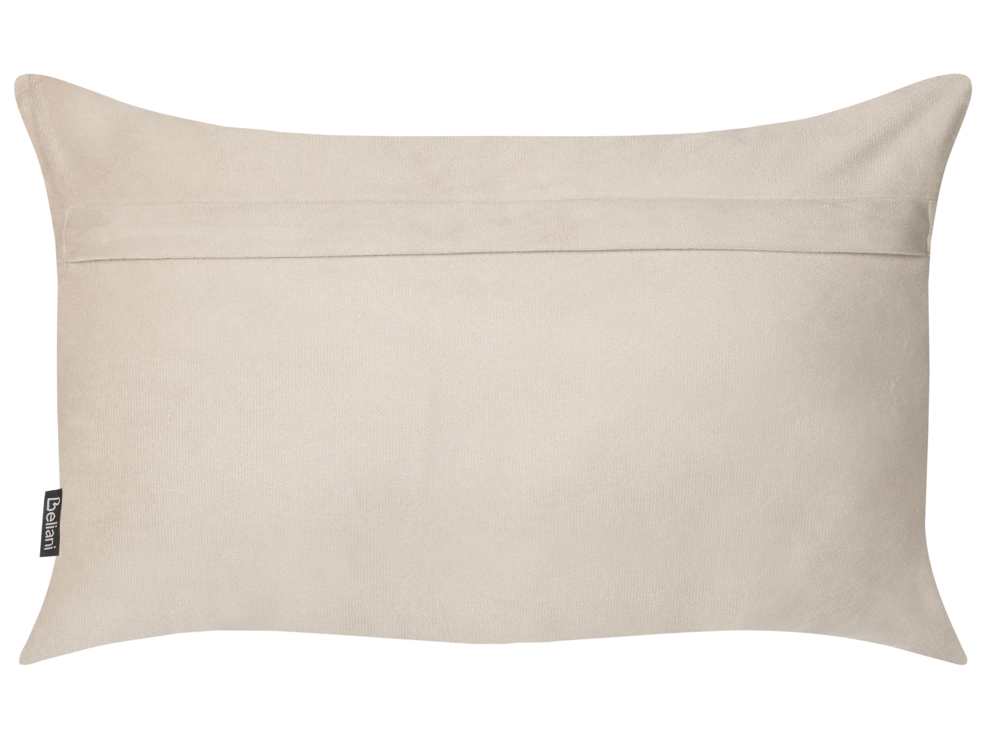 Set van 2 sierkussens BELLE Fluweel 30 x 50 cm Lichtbeige effen