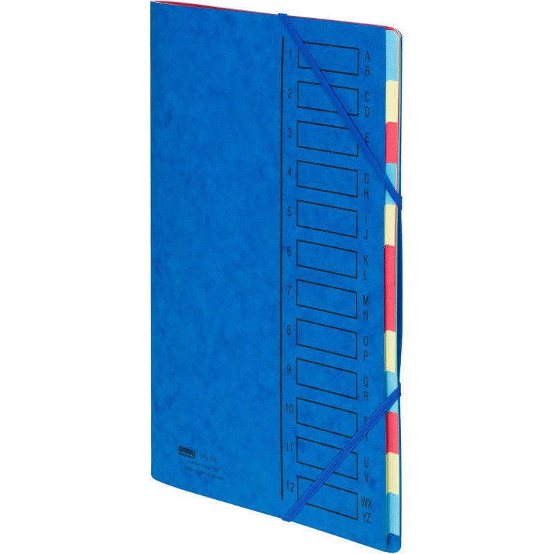 Trieur carte Emey Eco 12 divisions couleur
