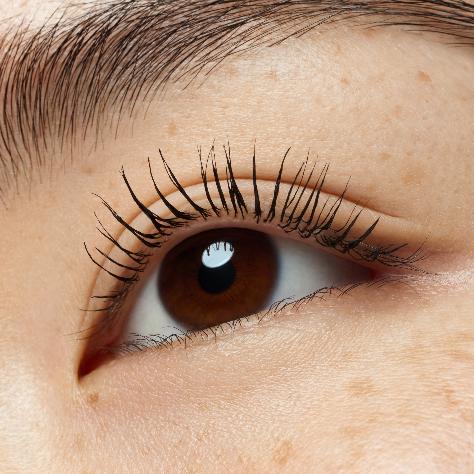 lash WITHOUT LIMITS WATERPROOF EXTREME LENGTHENING & VOLUME MASCARA