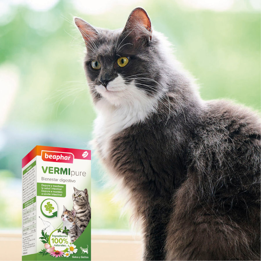 Comprimidos repelentes internos naturais Beaphar VERMIpure para gatos e gatinhos.