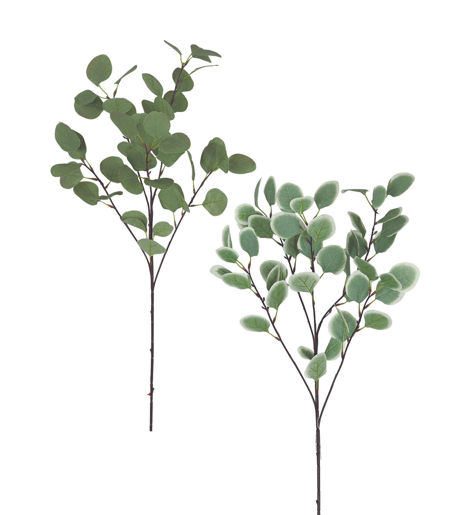 TIGE EUCALYPTUS X5 BRANCHES H.92CM TONS DE VERT