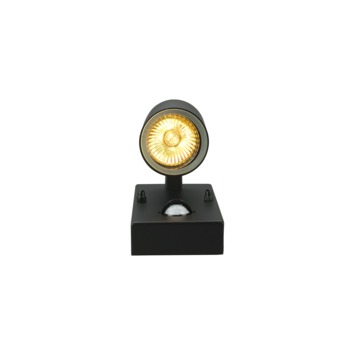 GAMMA buitenlamp Edmonton zwart met bewegingssensor