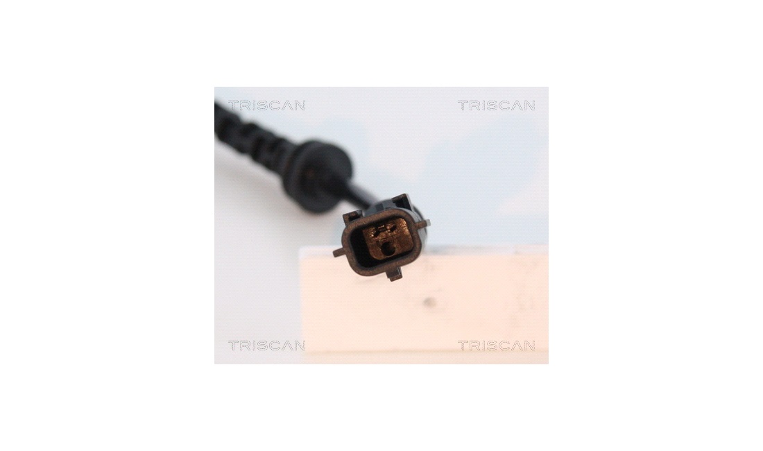 ABS sensor